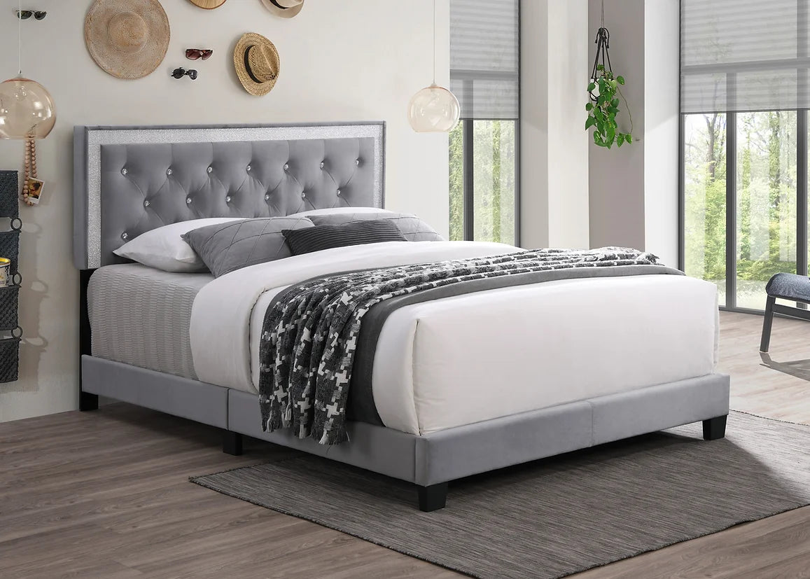 Mariana Platform Bed - Q,K